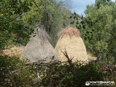 Valle del Alto Alberche;excursiones turismo las excursiones abril viajes